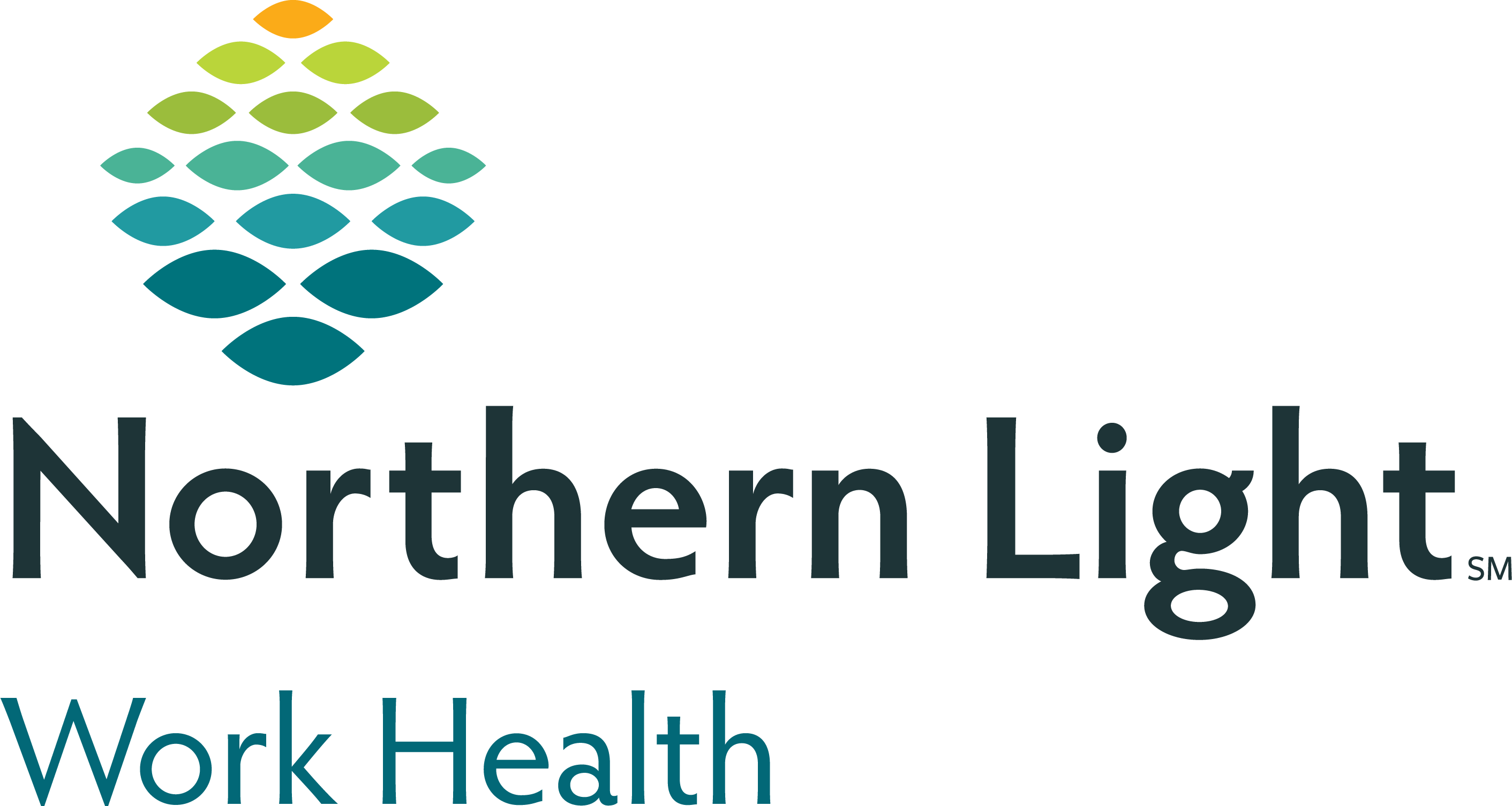 Northern Light Work Health